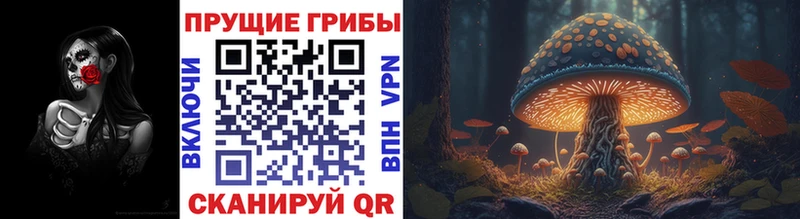 гидра зеркало  Любань  Псилоцибиновые грибы Psilocybe 